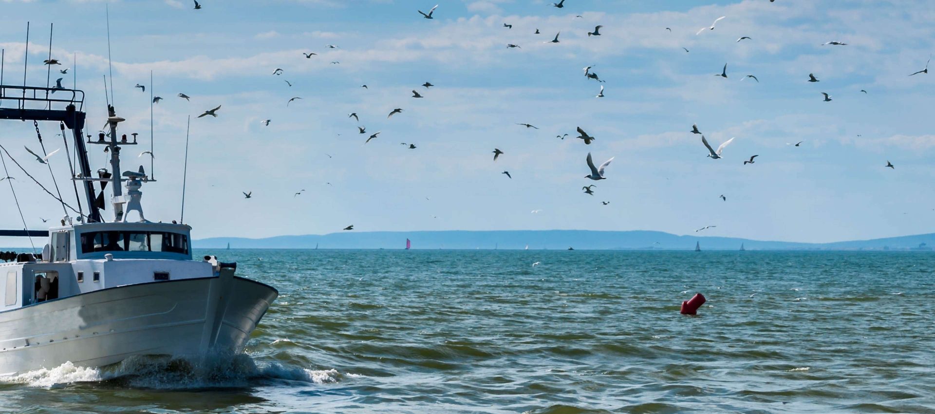 Retour de pêche d'un chalutier