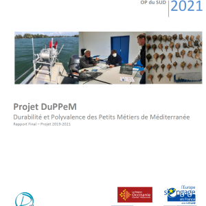 Couverture-rapport-final-DuPPeM